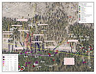 Aamurusko Detailed Inset