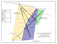 Aamurusko Cross Section